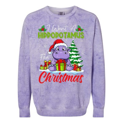 Funny I Want A Hippopotamus For Christmas Xmas Hippo Lovers Colorblast Crewneck Sweatshirt