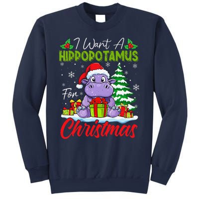 Funny I Want A Hippopotamus For Christmas Xmas Hippo Lovers Sweatshirt