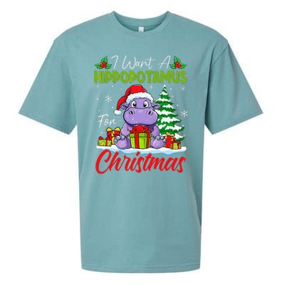 Funny I Want A Hippopotamus For Christmas Xmas Hippo Lovers Sueded Cloud Jersey T-Shirt