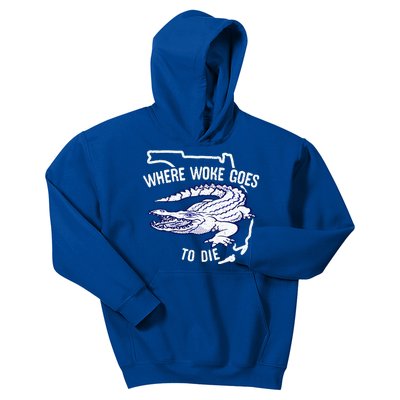 Florida Is Where Woke Goes To Die DeSantis Florida Funny Kids Hoodie