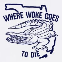 Florida Is Where Woke Goes To Die DeSantis Florida Funny Tank Top