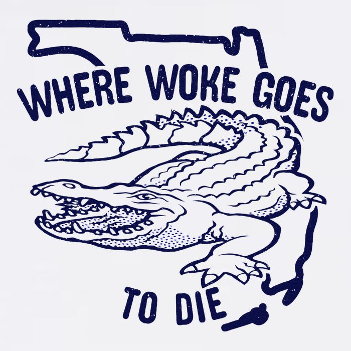 Florida Is Where Woke Goes To Die DeSantis Florida Funny Tank Top