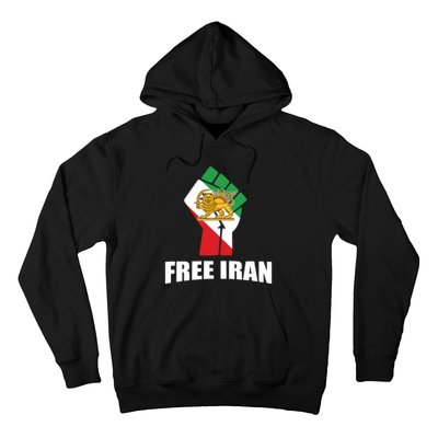 Free Iran Women Life Freedom Mahsa Amini Protest Hoodie