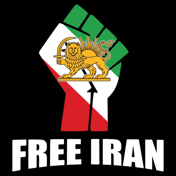 Free Iran Women Life Freedom Mahsa Amini Protest Impact Tech Backpack