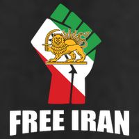 Free Iran Women Life Freedom Mahsa Amini Protest Beanie