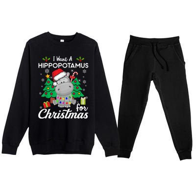 Funny I Want A Hippopotamus For Christmas Xmas Hippo For Gift Premium Crewneck Sweatsuit Set