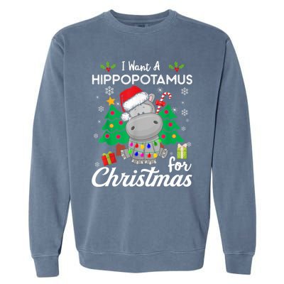 Funny I Want A Hippopotamus For Christmas Xmas Hippo For Gift Garment-Dyed Sweatshirt