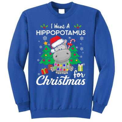 Funny I Want A Hippopotamus For Christmas Xmas Hippo For Gift Sweatshirt