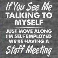 Funny If You See Me Talking To Myself Staff Meeting 7-Panel Snapback Hat