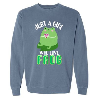 Frog Just A Girl Who Loves Frogs Funny Frog Lover Gift Garment-Dyed Sweatshirt