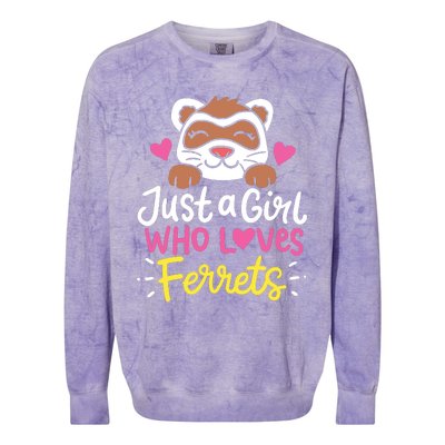 Ferret Just A Girl Who Loves Ferrets Colorblast Crewneck Sweatshirt