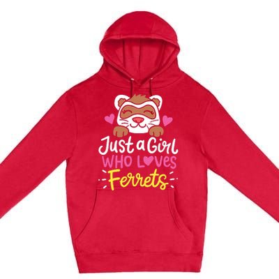 Ferret Just A Girl Who Loves Ferrets Premium Pullover Hoodie