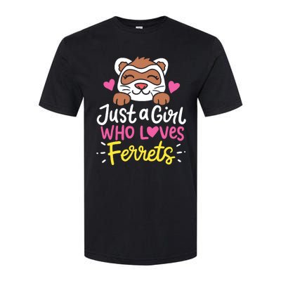 Ferret Just A Girl Who Loves Ferrets Softstyle CVC T-Shirt