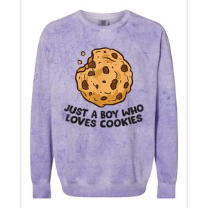 Funny Just A Boy Who Loves Cookies Gift Funny Chocolate Chip Cookies Gift Colorblast Crewneck Sweatshirt