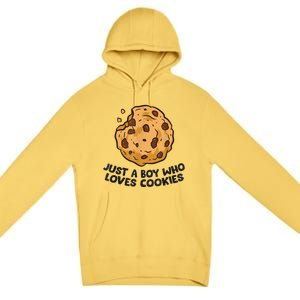 Funny Just A Boy Who Loves Cookies Gift Funny Chocolate Chip Cookies Gift Premium Pullover Hoodie