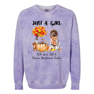 Funny Just A Girl Who Loves Fall And German Shorthaired Pointer Colorblast Crewneck Sweatshirt