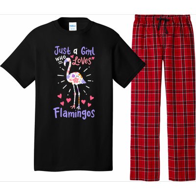 Flamingo Just A Girl Who Loves Flamingos Gift Meaningful Gift Pajama Set