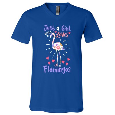 Flamingo Just A Girl Who Loves Flamingos Gift Meaningful Gift V-Neck T-Shirt