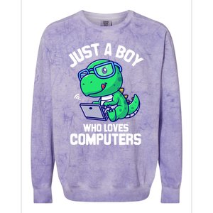 Funny Just A Who Loves  Computers Gaming Gift Colorblast Crewneck Sweatshirt