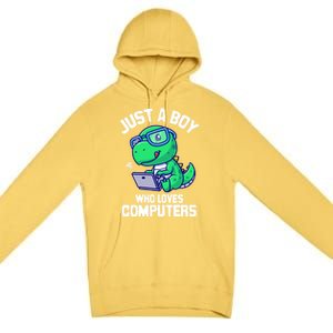 Funny Just A Who Loves  Computers Gaming Gift Premium Pullover Hoodie