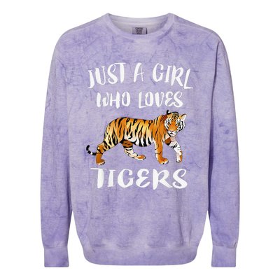 Funny Just A Girl Who Loves Tigers Tiger Animal Lover Gift Colorblast Crewneck Sweatshirt