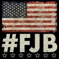 #FJB Distressed F Hoe Biden Cropped Pullover Crew