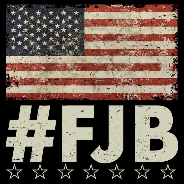 #FJB Distressed F Hoe Biden Cropped Pullover Crew