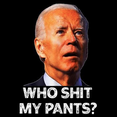 Funny Joe Biden Idiot Republican Who Shi.T My Pants Politics T-Shirt