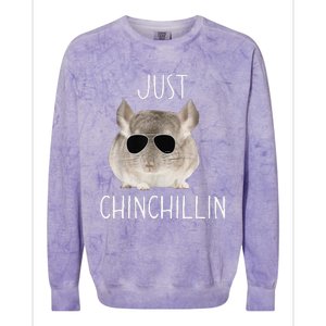 Funny Just Chinchillin Chinchilla Bro Relaxing Chillin Colorblast Crewneck Sweatshirt