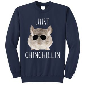 Funny Just Chinchillin Chinchilla Bro Relaxing Chillin Sweatshirt