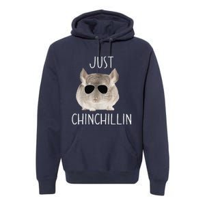 Funny Just Chinchillin Chinchilla Bro Relaxing Chillin Premium Hoodie