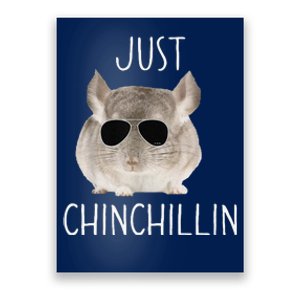 Funny Just Chinchillin Chinchilla Bro Relaxing Chillin Poster