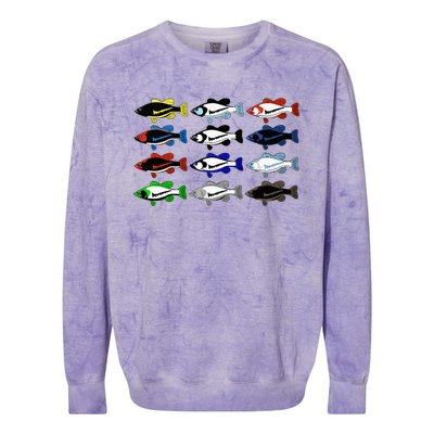 Funny Joke Fishing for Sneakerheads & Fisherwo Colorblast Crewneck Sweatshirt