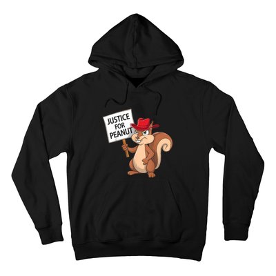 Funny Justice For Peanut Pnut Squirrel Pnut Justice Hoodie