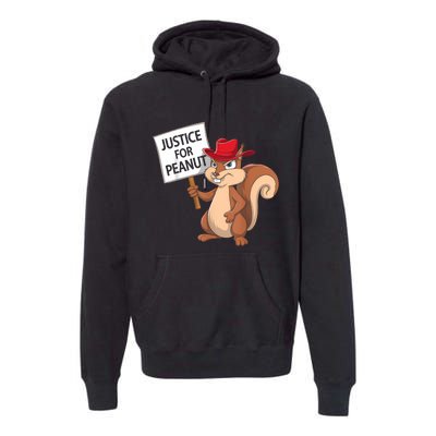 Funny Justice For Peanut Pnut Squirrel Pnut Justice Premium Hoodie