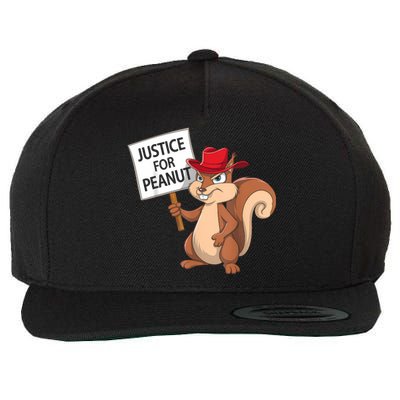 Funny Justice For Peanut Pnut Squirrel Pnut Justice Wool Snapback Cap