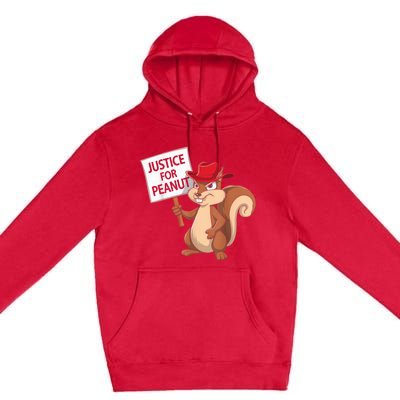 Funny Justice For Peanut Pnut Squirrel Pnut Justice Premium Pullover Hoodie