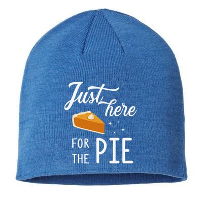 Funny Just Here For The Pie Thanksgiving Christmas Dinner Sustainable Beanie