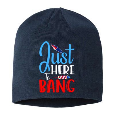 Funny Just Here To Bang Funny 4th Of July USA Merica America Sustainable Beanie