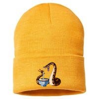 Funny Japanese Kawaii Ramen Snake Cute Ball Python Sustainable Knit Beanie