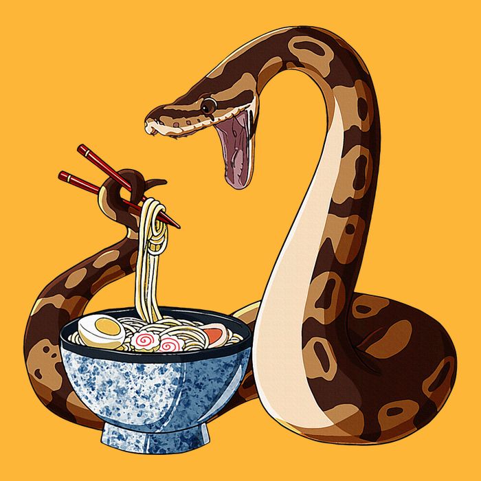 Funny Japanese Kawaii Ramen Snake Cute Ball Python Pom Pom 12in Knit Beanie