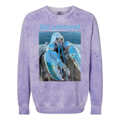 Funny Jumpscare Lobster Meme Blue Crustacean Colorblast Crewneck Sweatshirt