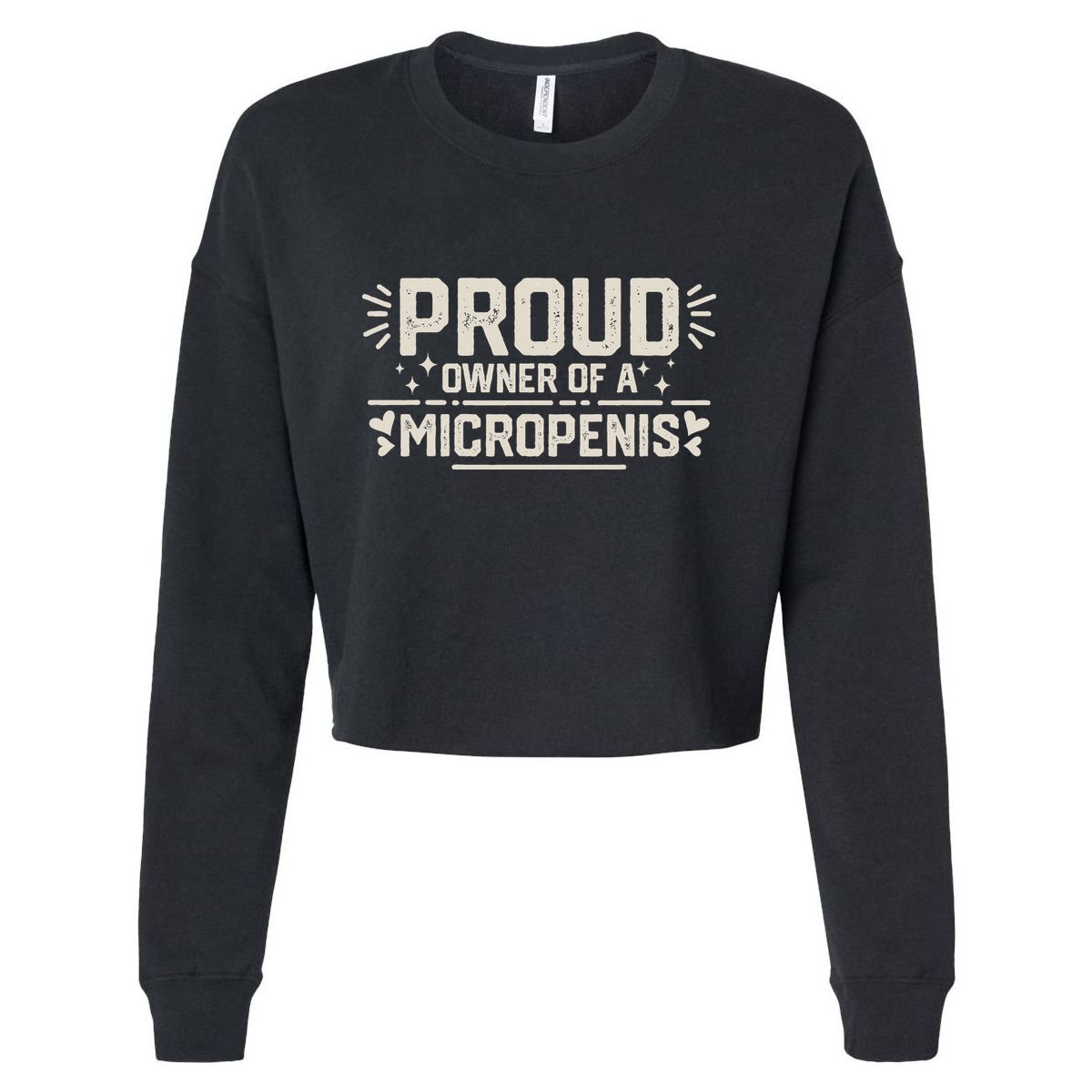 Funny Joke Rude Proud Owner Of A Micropenis Bachelor Party Cropped Pullover Crew