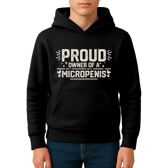 Funny Joke Rude Proud Owner Of A Micropenis Bachelor Party Kids Hoodie
