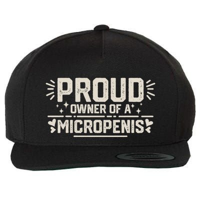 Funny Joke Rude Proud Owner Of A Micropenis Bachelor Party Wool Snapback Cap