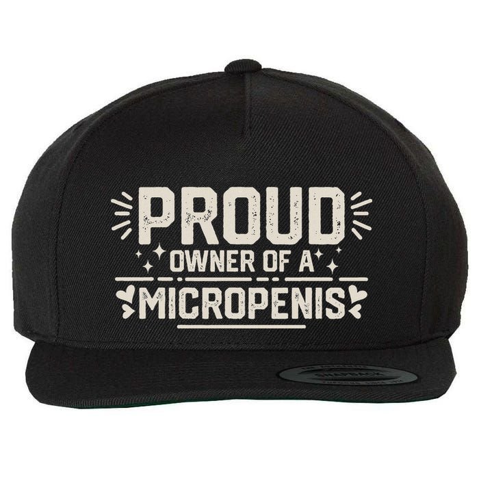 Funny Joke Rude Proud Owner Of A Micropenis Bachelor Party Wool Snapback Cap