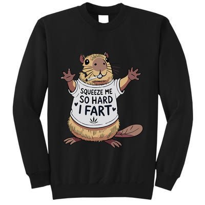 Funny Joke Squeeze Me So Hard I Fart Sweatshirt