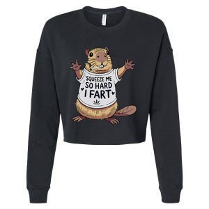 Funny Joke Squeeze Me So Hard I Fart Cropped Pullover Crew