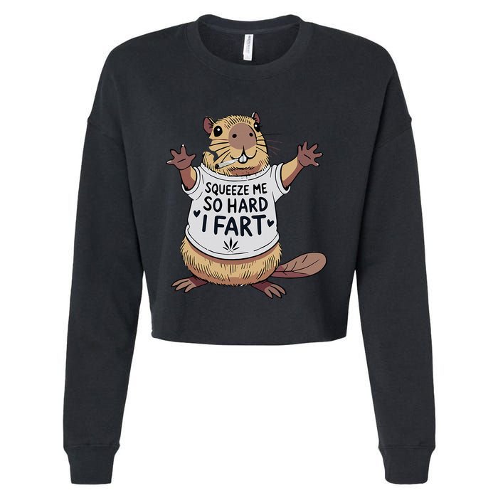 Funny Joke Squeeze Me So Hard I Fart Cropped Pullover Crew
