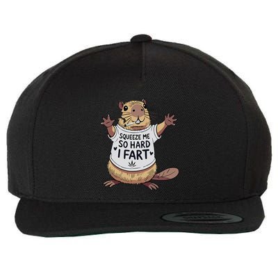 Funny Joke Squeeze Me So Hard I Fart Wool Snapback Cap